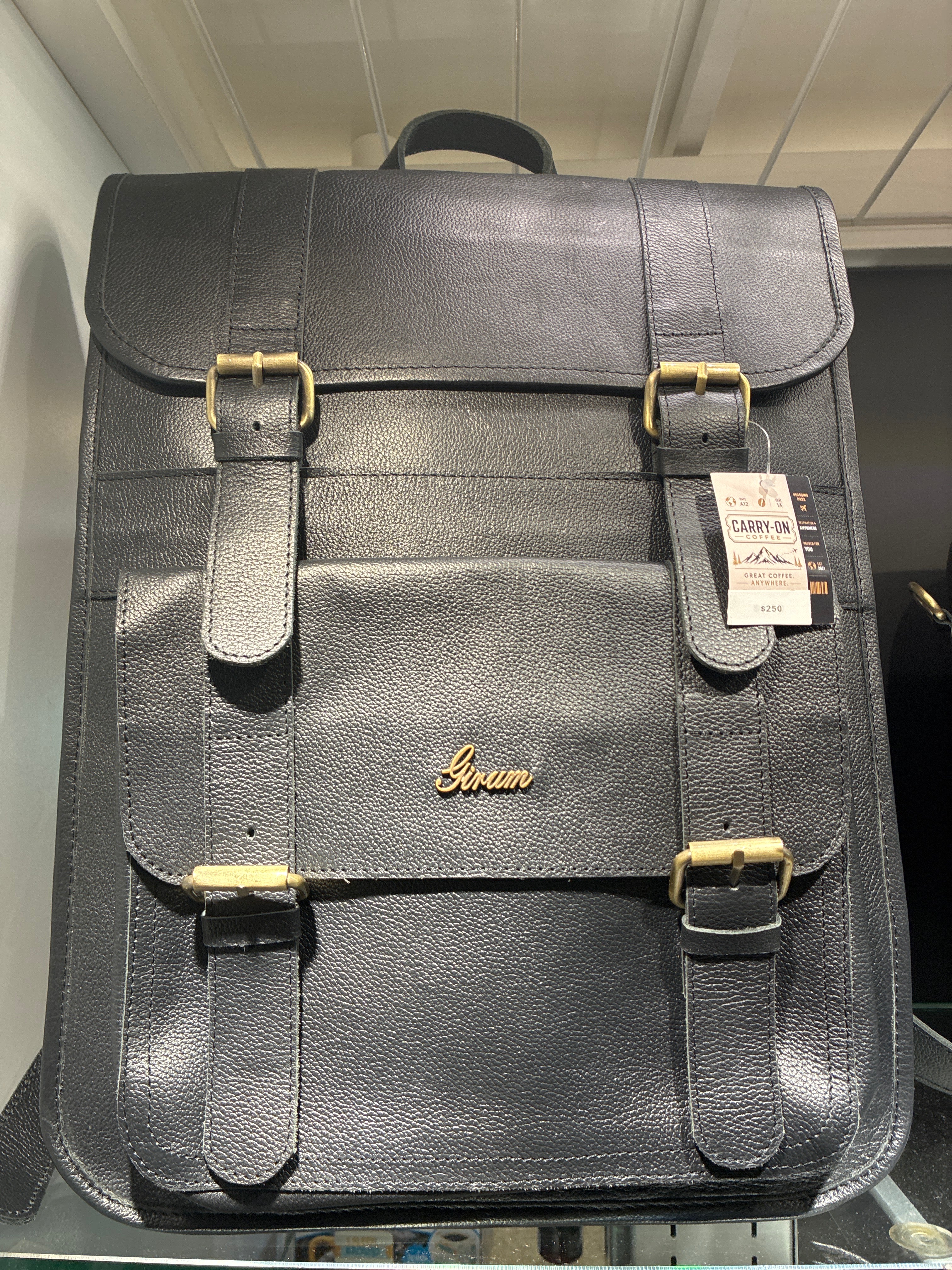 Girum Larg Backpack